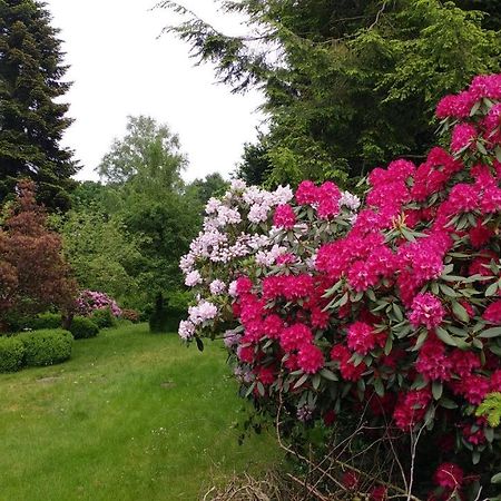 Ferienwohnung Gartenblick Ворпсведе Экстерьер фото